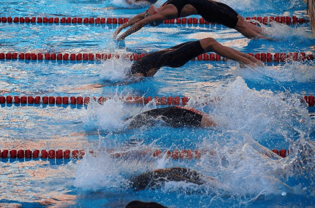 竞技游泳