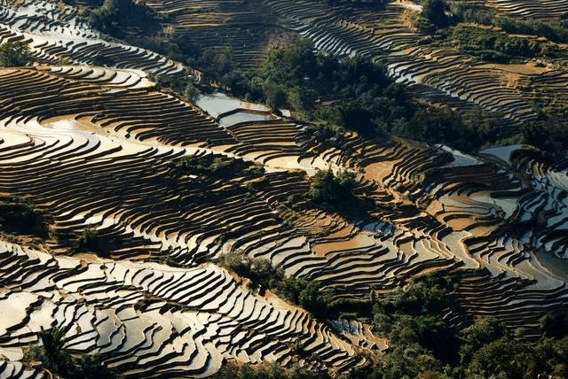 红河哈尼梯田