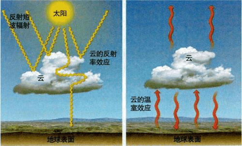 云凝结核