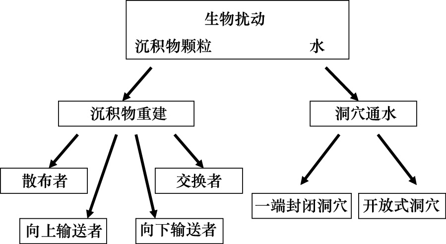 生物扰动