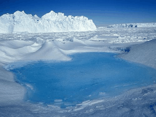南极底层水