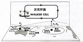 下沉流