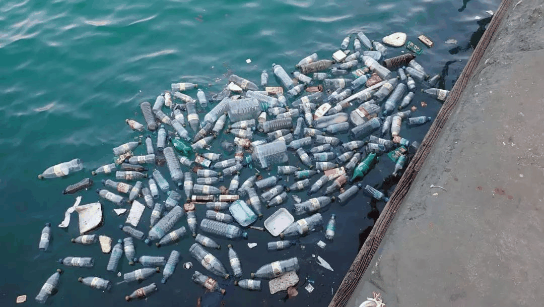 海洋废弃物