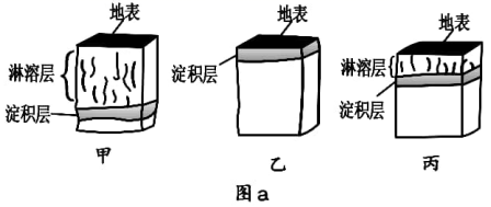 淋溶作用