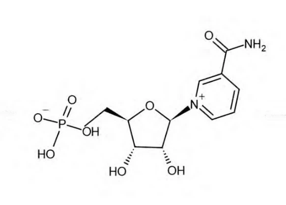 烟酰胺单核苷酸