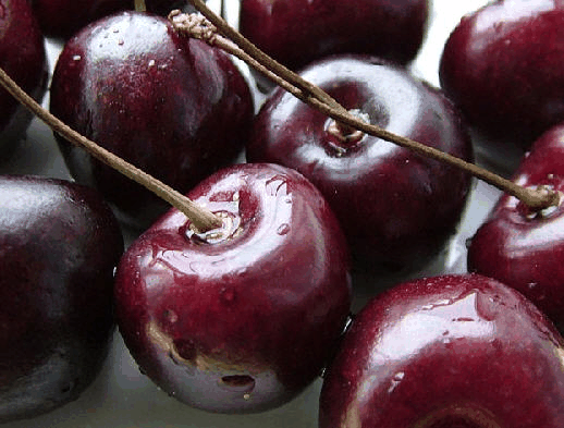 欧洲甜樱桃