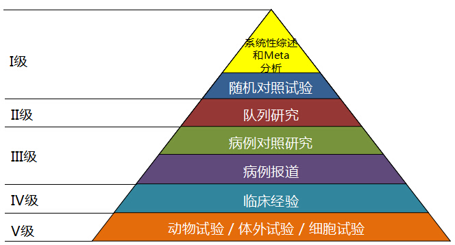 循证医学