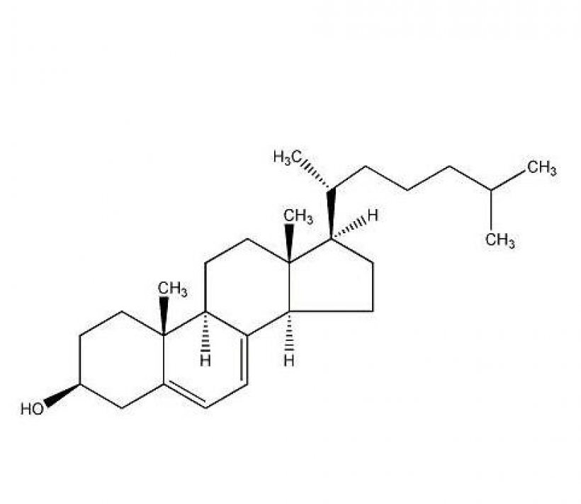 7-脱氢胆固醇