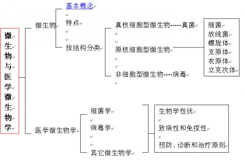 医学微生物学