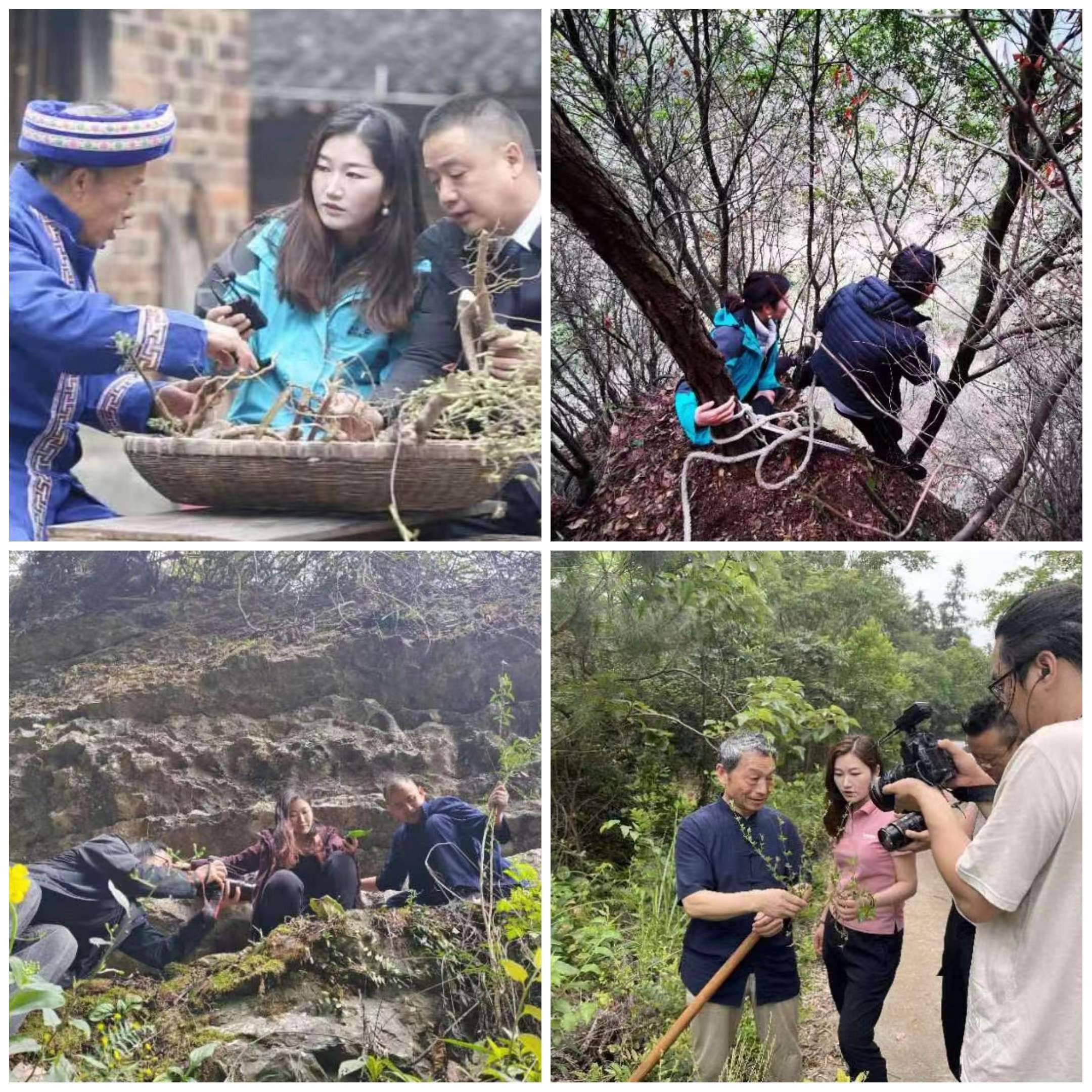 了不起的中医(花云)