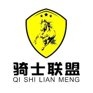 骑士联盟锂电池