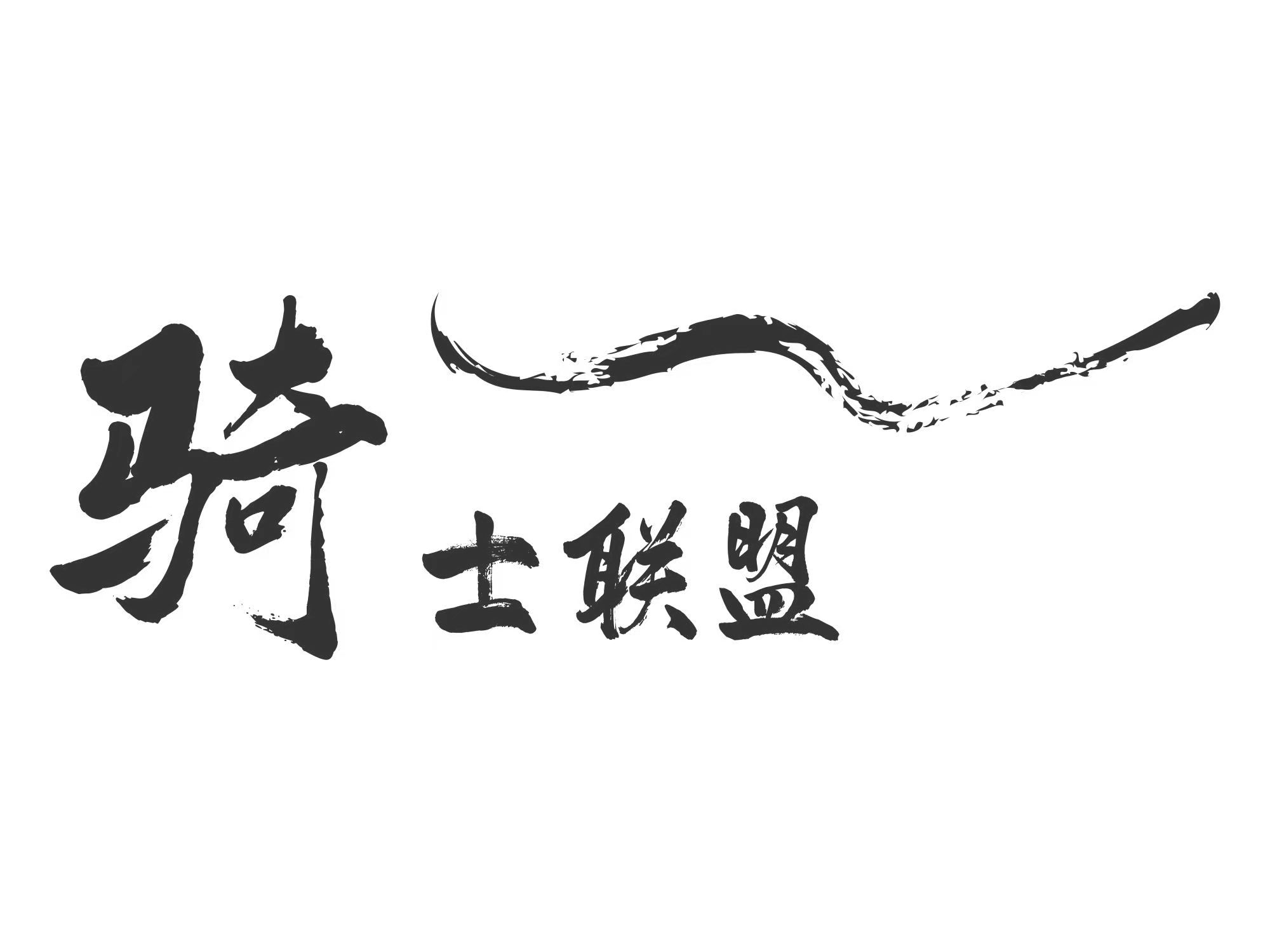 骑士联盟锂电池