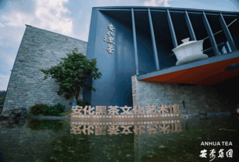 安茶集团