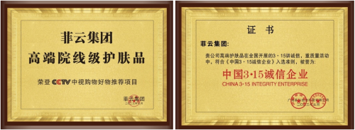 高菲(菲云集团董事长)