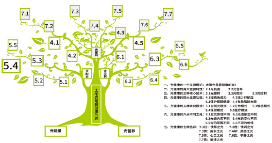 光健康产业的理论体系照片