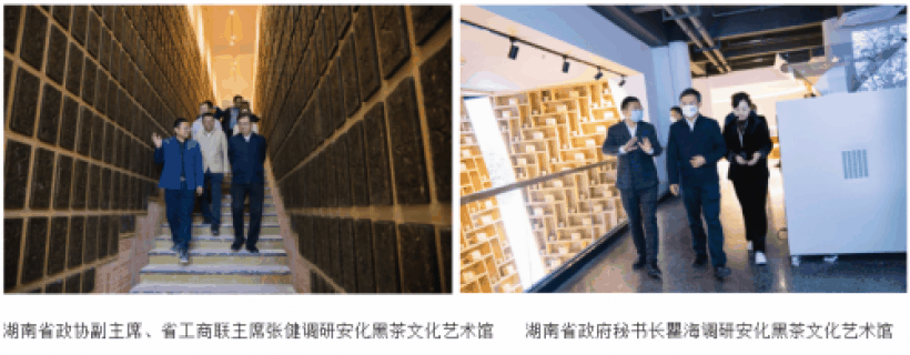 徐耿(安茶集团董事长)