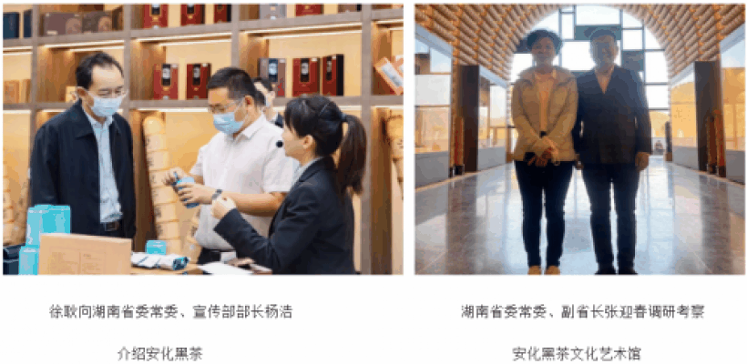 徐耿(安茶集团董事长)