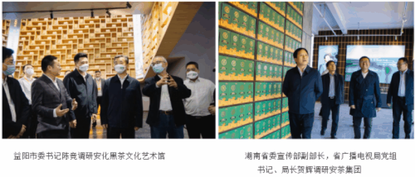 徐耿(安茶集团董事长)