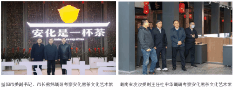 徐耿(安茶集团董事长)