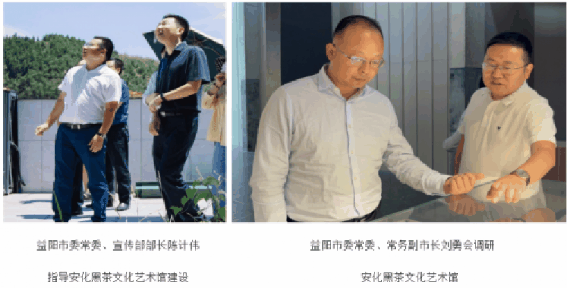 徐耿(安茶集团董事长)