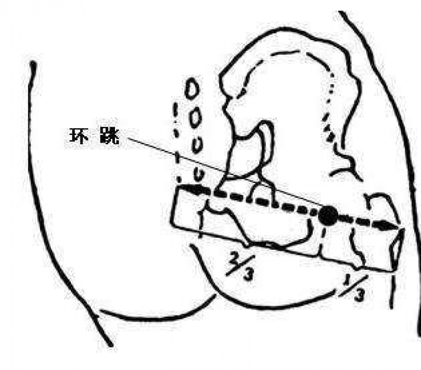 Euler跳