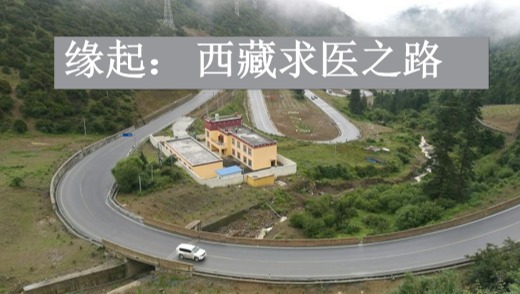 孟晨(制草堂创始人)