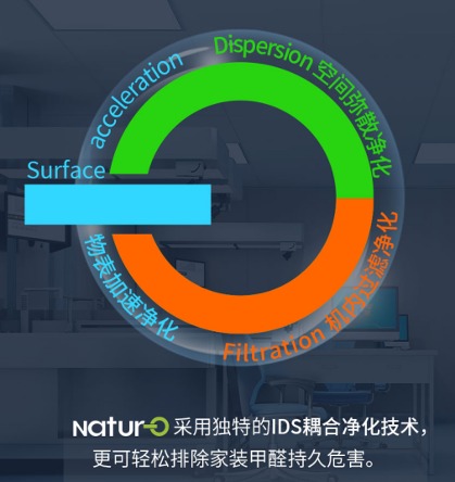 IDS耦合净化技术