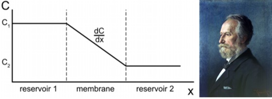 IDS耦合净化技术