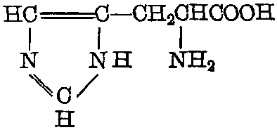 组氨酸