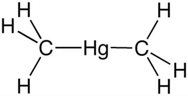 甲基汞