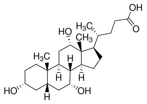 胆酸