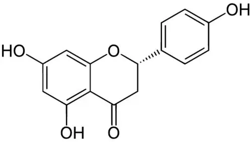 柚皮素