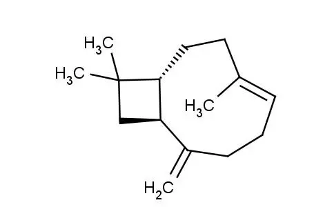 β-石竹烯