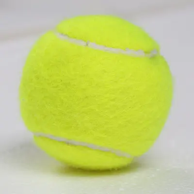 网球 (球)
