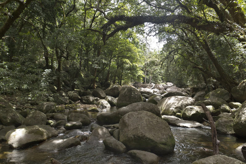 丹翠国家公园